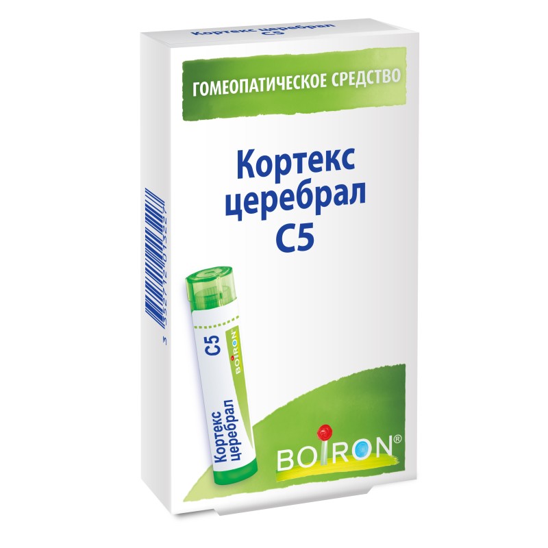 Кортекс церебрал С5